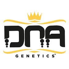DNA Genetics - Sour Kush