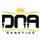DNA Genetics - Golden Lemons