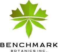 Benchmark - Think Fast